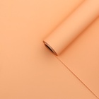 Пленка для декора и флористики, матовая, 65 микрон, пудра, 56 см×10 м ( + - ) 1 см - Фото 2