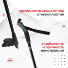 Комплект лыжный: пластиковые лыжи 160 см с насечкой, стеклопластиковые палки 120 см, крепления SNS, цвета МИКС - Фото 2