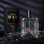 Туалетная вода мужская Made For Man Black, 100 мл (по мотивам Bvlgari Man in Black (Bvlgari) - фото 318536075