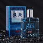 Туалетная вода мужская Made For Man Blue, 100 мл (по мотивам Blue Seduction (A.Banderas) - фото 318536077