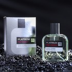 Туалетная вода мужская Pro-Energy Platinum, 100 мл (по мотивам Egoiste Platinum (Chanel) - Фото 1