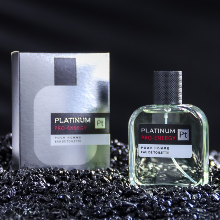 Туалетная вода мужская Pro-Energy Platinum, 100 мл (по мотивам Egoiste Platinum (Chanel) - Фото 1