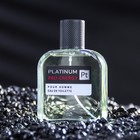 Туалетная вода мужская Pro-Energy Platinum, 100 мл (по мотивам Egoiste Platinum (Chanel) - Фото 2