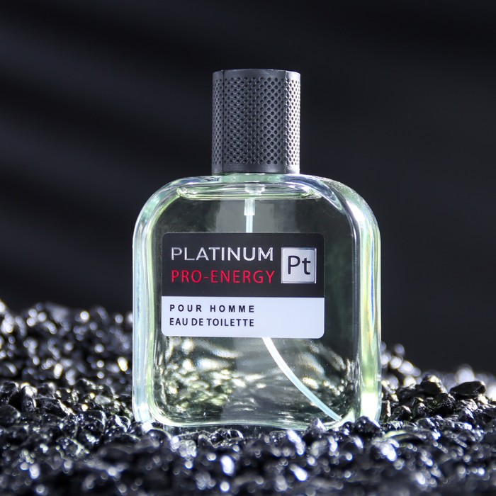 Туалетная вода мужская Pro-Energy Platinum, 100 мл (по мотивам
