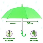 Зонт детский полуавтоматический d=86см, цвет зелёный - фото 7769523