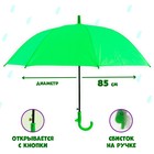 Зонт детский полуавтоматический d=86 см, зелёный - Фото 1