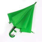 Зонт детский полуавтоматический d=86см, цвет зелёный - Фото 6