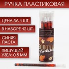 Ручка пластиковая «Золотой учитель», пластик, синяя паста - Фото 1