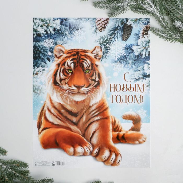 Плакат "С новым годом", реалистичный тигр, 30 х 40 см, плотность 157 гр/кв.м - Фото 1
