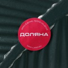 Блюдо для фруктов Доляна «Лист», 35.5×20×5 см, золотое с зелёным - Фото 6