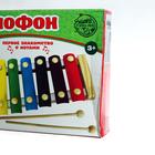 УЦЕНКА Металлофон «Пора играть» (8 тонов) + 6 карточек 7013609