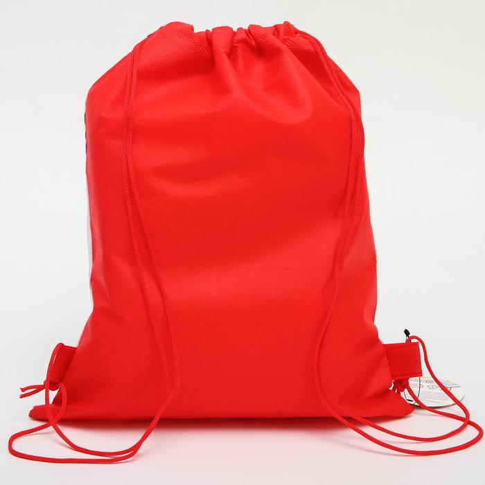 Песочный набор ФИКСИКИ "Симка и Нолик": ведерко 1 л, грабли, совок, 3 формочки, в рюкзаке 49958