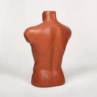 Торс мужской «Карон» 63×85 см, объём 85 см, цвет оранжевый - Фото 2