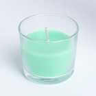 Свеча ароматическая в стакане АЛАНИЯ "Зеленый чай", 5,5 см - фото 6425374