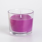 Свеча ароматическая в стакане АЛАНИЯ "Смородина", 5,5 см - фото 6425384