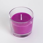 Свеча ароматическая в стакане АЛАНИЯ "Смородина", 5,5 см - фото 6425385
