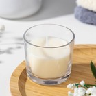 Свеча ароматическая в стакане АЛАНИЯ "Белая лилия", 5,5 см - Фото 1