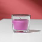 Свеча ароматическая в стакане АЛАНИЯ "Горная лаванда", 5,5 см - фото 6425407