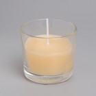 Свеча ароматическая в стакане АЛАНИЯ "Корица", 5,5 см - фото 6425430