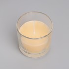 Свеча ароматическая в стакане АЛАНИЯ "Корица", 5,5 см - фото 6425431