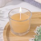 Свеча ароматическая в стакане АЛАНИЯ "Сандаловое дерево", 5,5 см - фото 9275968