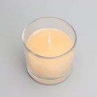 Свеча ароматическая в стакане АЛАНИЯ "Сандаловое дерево", 5,5 см - фото 6425440