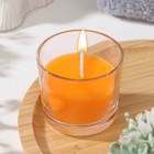 Свеча ароматическая в стакане АЛАНИЯ "Сочное манго", 5,5 см - фото 6425460