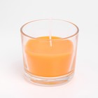 Свеча ароматическая в стакане АЛАНИЯ "Сочное манго", 5,5 см - Фото 2