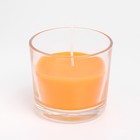 Свеча ароматическая в стакане АЛАНИЯ «Сочное манго», 5.5 см - Фото 2