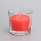 Свеча ароматическая в стакане АЛАНИЯ "Цветущий сад", 5,5 см - Фото 2