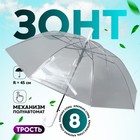 Зонт - трость полуавтоматический «Каркас», 8 спиц, R = 45 см, цвет МИКС - фото 9039051