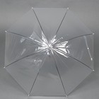 Зонт - трость полуавтоматический «Каркас», 8 спиц, R = 45 см, цвет МИКС - фото 9039055