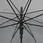 Зонт - трость полуавтоматический «Каркас», 8 спиц, R = 45 см, цвет МИКС - фото 9039056