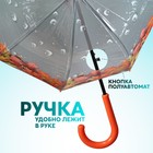 Зонт - трость полуавтоматический «Времена года», 8 спиц, R = 40 см, цвет МИКС - фото 9066938