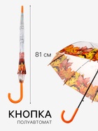 Зонт - трость полуавтоматический «Времена года», 8 спиц, R=40/60 см, d=80 см, МИКС - Фото 2