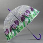 Зонт - трость полуавтоматический «Времена года», 8 спиц, R = 40 см, цвет МИКС - фото 9348884