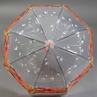 Зонт - трость полуавтоматический «Времена года», 8 спиц, R = 40/60 см, D = 120 см, цвет МИКС - фото 11830828