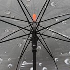 Зонт - трость полуавтоматический «Времена года», 8 спиц, R = 40 см, цвет МИКС - фото 9066943