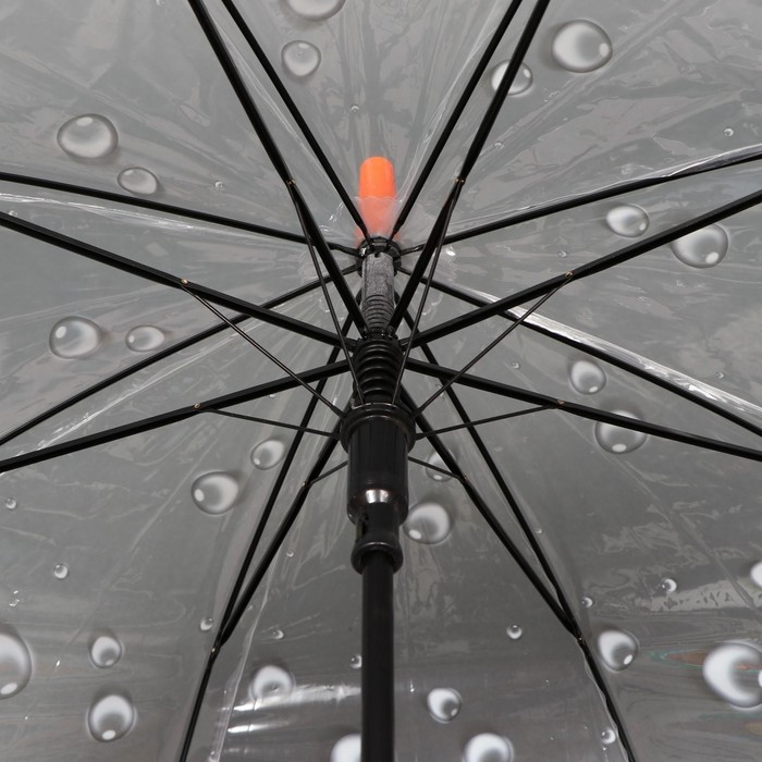 Зонт - трость полуавтоматический «Времена года», 8 спиц, R = 40 см, цвет МИКС - фото 1885170816