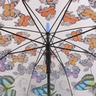 Зонт - трость полуавтоматический «Бабочки», 8 спиц, R = 43 см, рисунок МИКС - Фото 11