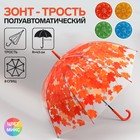 Зонт - трость полуавтоматический «Листопад», 8 спиц, R = 43 см, цвет МИКС - фото 9276056