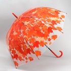 Зонт - трость полуавтоматический «Листопад», 8 спиц, R = 43 см, цвет МИКС - Фото 2
