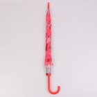 Зонт - трость полуавтоматический «Листопад», 8 спиц, R = 45 см, цвет МИКС - фото 9039081
