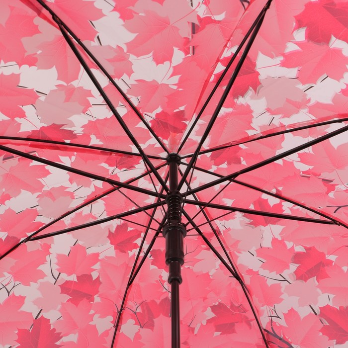 Зонт - трость полуавтоматический «Листопад», 8 спиц, R = 45 см, цвет МИКС - фото 1885170853