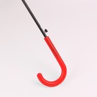 Зонт - трость полуавтоматический «Листопад», 8 спиц, R = 45 см, цвет МИКС - фото 9348889