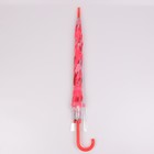 Зонт - трость полуавтоматический «Листопад», 8 спиц, R = 45 см, цвет МИКС - фото 9348891