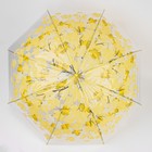 Зонт - трость полуавтоматический «Листопад», 8 спиц, R = 45 см, цвет МИКС - Фото 8