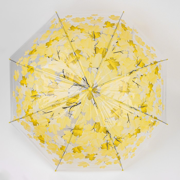 Зонт - трость полуавтоматический «Листопад», 8 спиц, R = 45 см, цвет МИКС - фото 1885170846