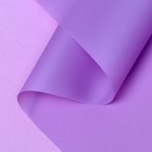 Пленка для цветов "Люкс", матовая, глициния, 0,6 х 10 м, 200 г, 40 мкм - Фото 5