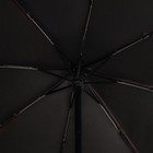 Зонт автоматический «Пастель», ветроустойчивый, 3 сложения, 8 спиц, R = 48 см, цвет МИКС - Фото 3